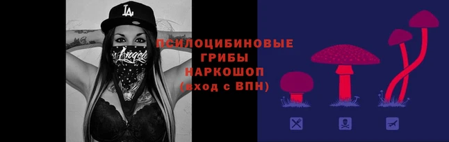 кокаин премиум Алексин