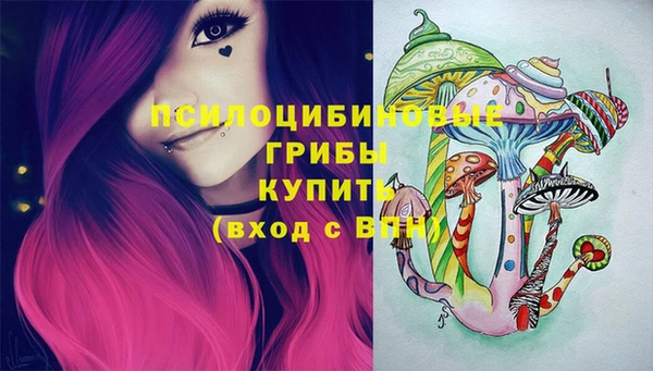 мдпв Дедовск